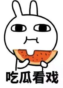 娱乐吃瓜酱蠢人
